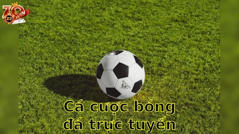 Cá cược bóng đá trực tuyến – Khám Phá Cơ Hội 2025